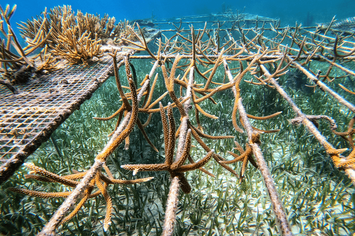 Protecting vital habitats